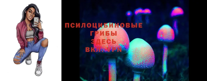 Галлюциногенные грибы Psilocybine cubensis  купить закладку  ОМГ ОМГ сайт  Нерехта 